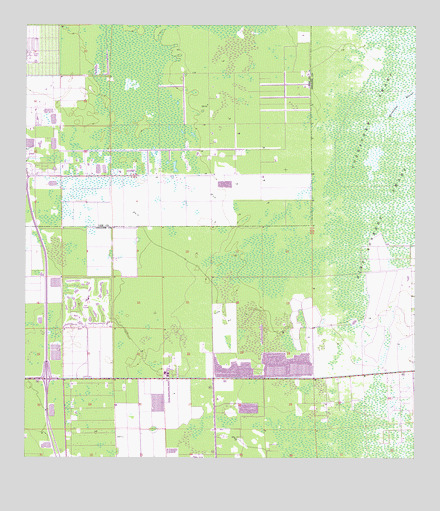 Corkscrew SW, FL USGS Topographic Map