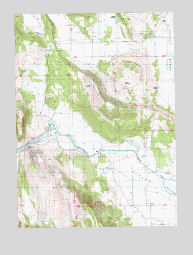 Dairy, OR USGS Topographic Map