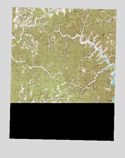 Dingus, KY USGS Topographic Map