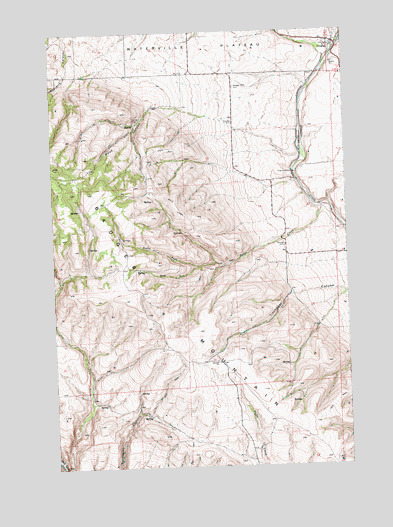Douglas, WA USGS Topographic Map
