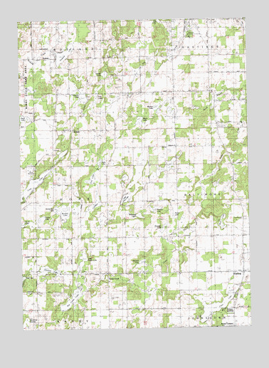 Dowling, MI USGS Topographic Map