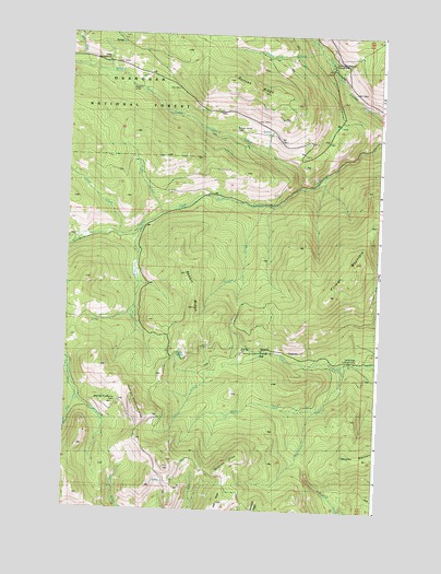 Duncan Ridge, WA USGS Topographic Map