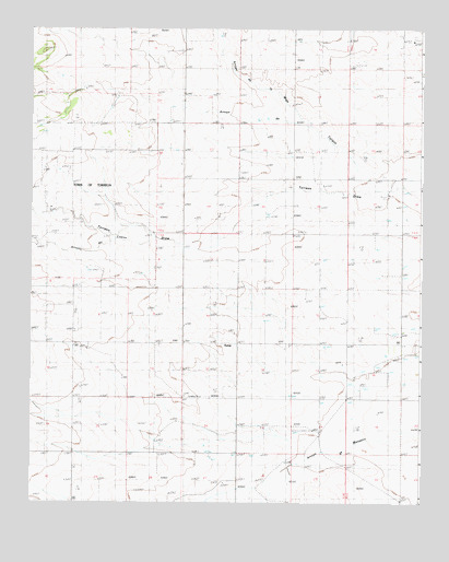 Ewing, NM USGS Topographic Map
