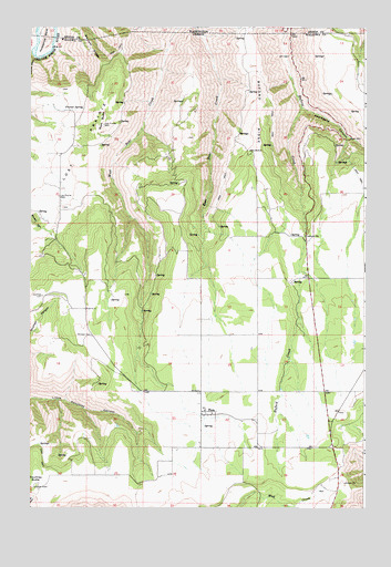 Flora, OR USGS Topographic Map