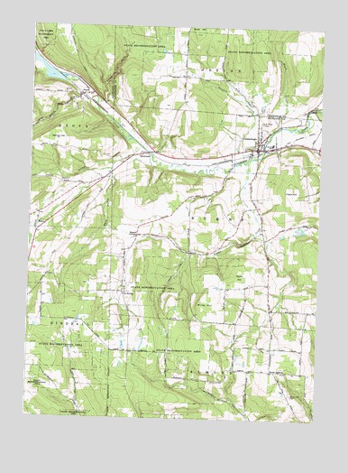 Canaseraga, NY USGS Topographic Map