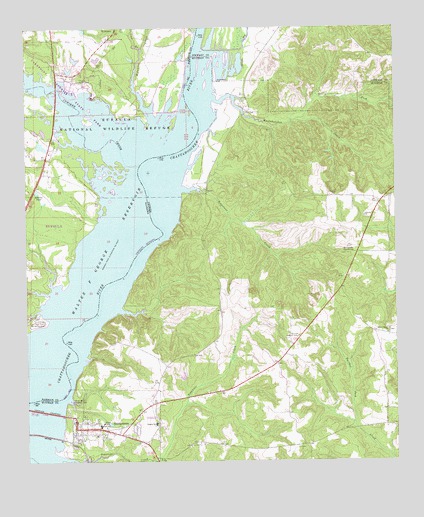 Georgetown, GA USGS Topographic Map