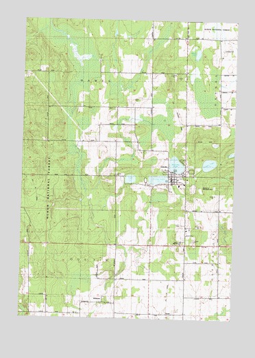 Lincoln, MI USGS Topographic Map