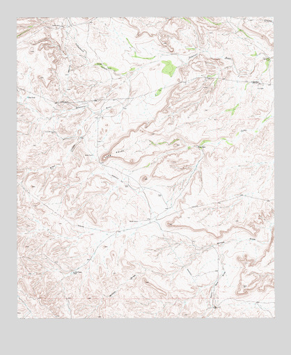 Long Point, TX USGS Topographic Map