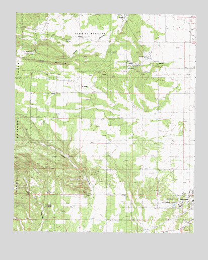 Punta de Agua, NM USGS Topographic Map