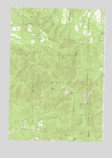 Tower Mountain, OR USGS Topographic Map