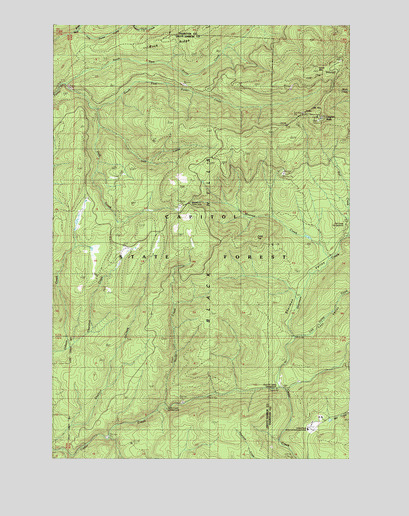 Capitol Peak, WA USGS Topographic Map