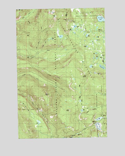 White Pass, WA USGS Topographic Map
