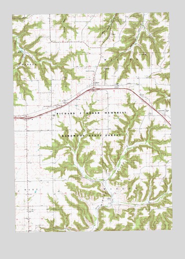 Wilson, MN USGS Topographic Map