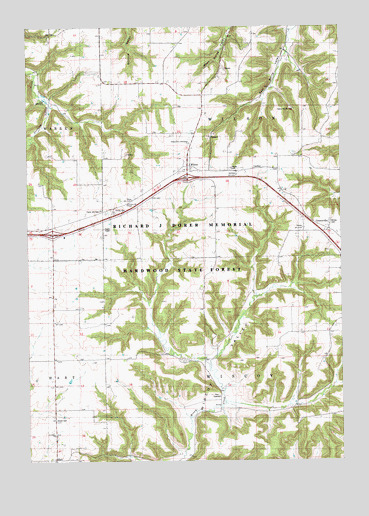 Wilson, MN USGS Topographic Map