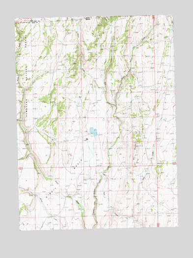 Bear Mountain, NV USGS Topographic Map
