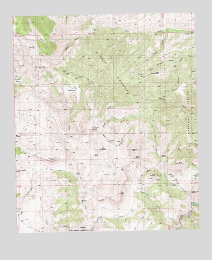 Brushy Mountain, NM USGS Topographic Map