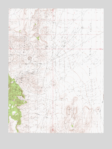 McCoy, NV USGS Topographic Map