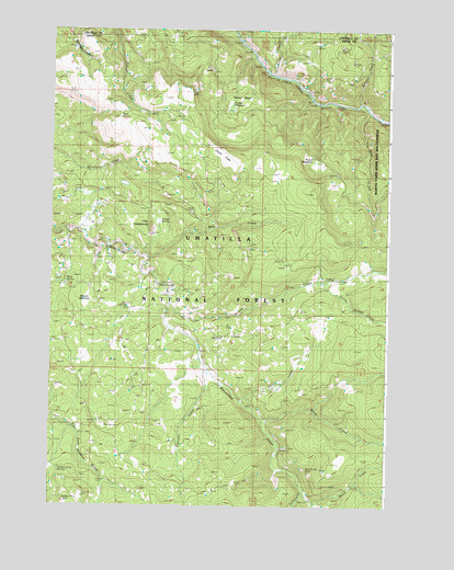 The Cockscomb, OR USGS Topographic Map