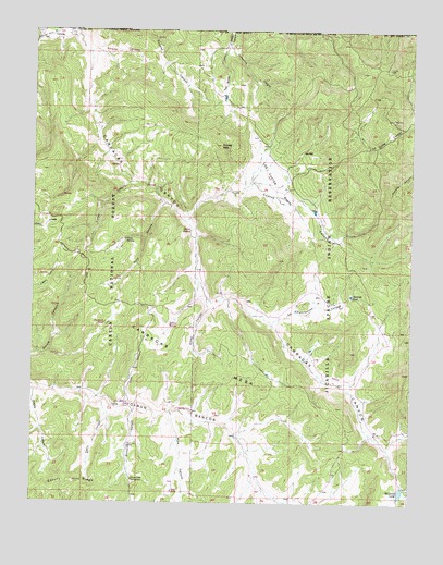 Carracas Canyon, NM USGS Topographic Map