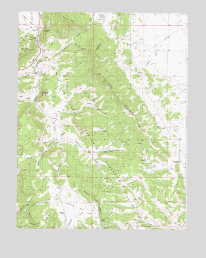 Castle Rock Gulch, CO USGS Topographic Map