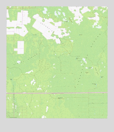 Catherine Island, FL USGS Topographic Map