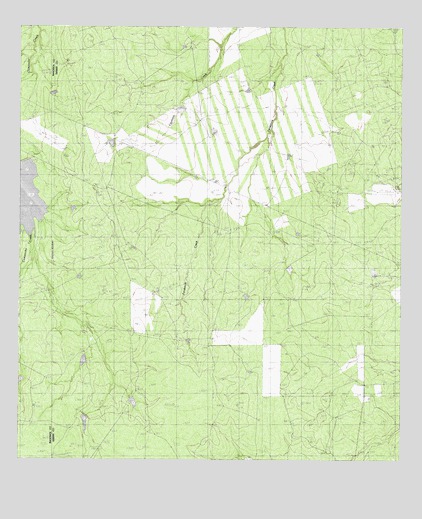 Cayetano Creek, TX USGS Topographic Map