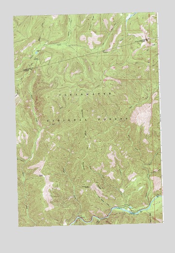 Cayuse Junction, ID USGS Topographic Map