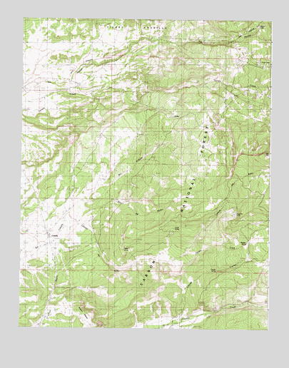 Cebolla, NM USGS Topographic Map