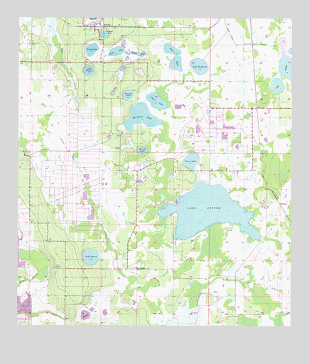 Alturas, FL USGS Topographic Map