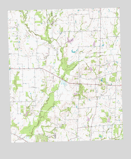 Cedarvale, TX USGS Topographic Map