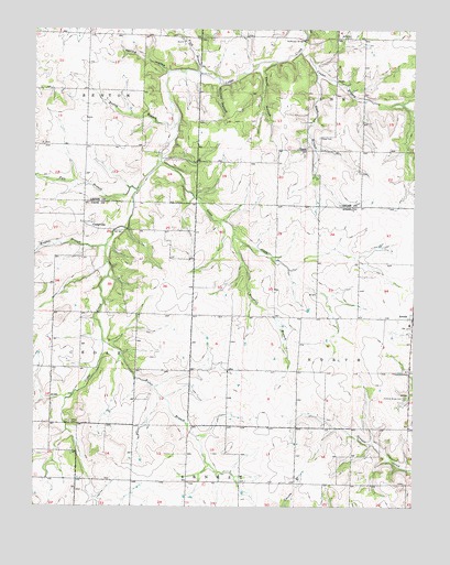 Cedarville, MO USGS Topographic Map