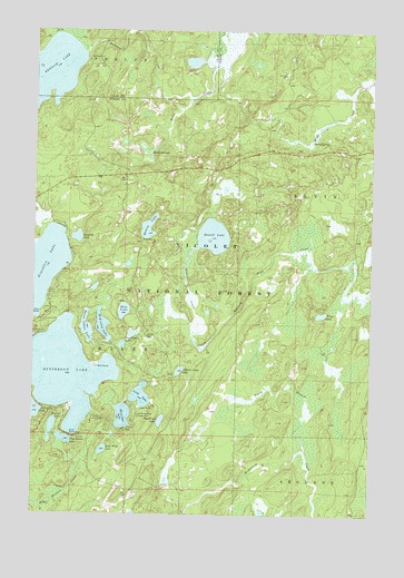Alvin NW, WI USGS Topographic Map