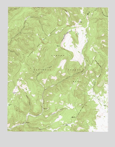 Cerro Vista, NM USGS Topographic Map