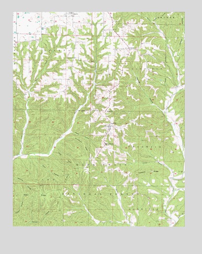 Chadwick, MO USGS Topographic Map
