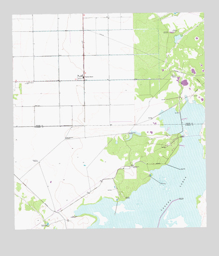 Chapman Ranch, TX USGS Topographic Map