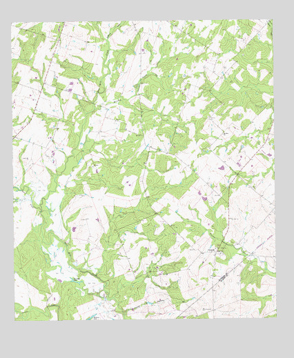 Cheapside, TX USGS Topographic Map