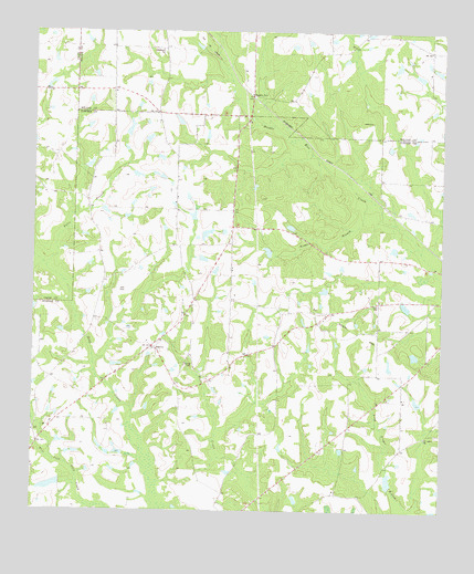 Amboy, GA USGS Topographic Map