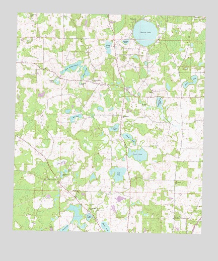 Cherry Lake, FL USGS Topographic Map