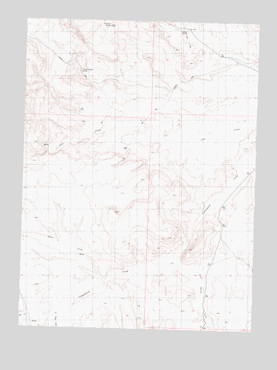 Chester Lyons Spring, NV USGS Topographic Map