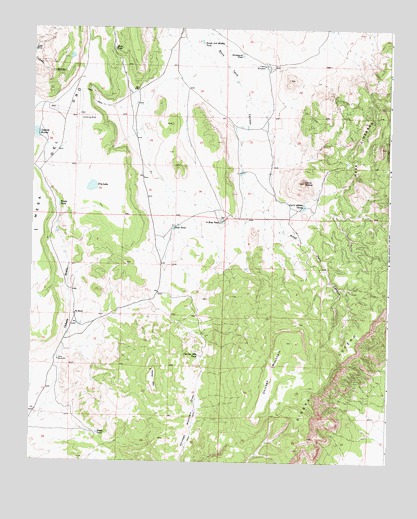Chicken Mountain, NM USGS Topographic Map