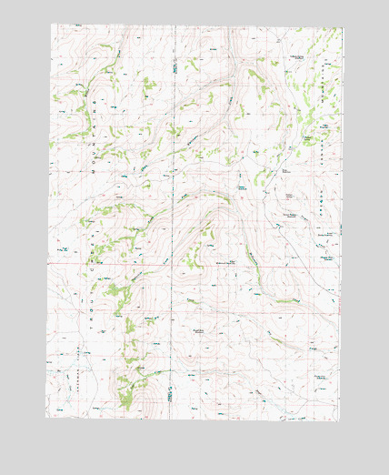 Chicken Spring, OR USGS Topographic Map