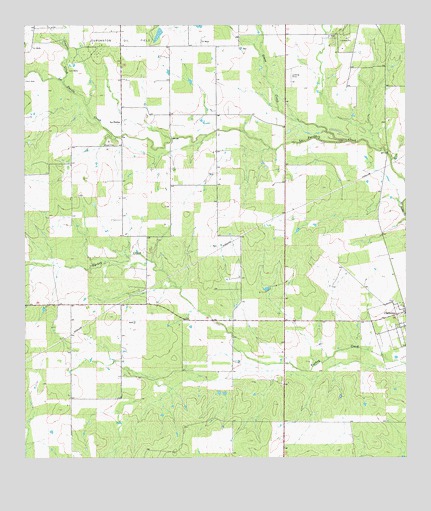 Christine West, TX USGS Topographic Map