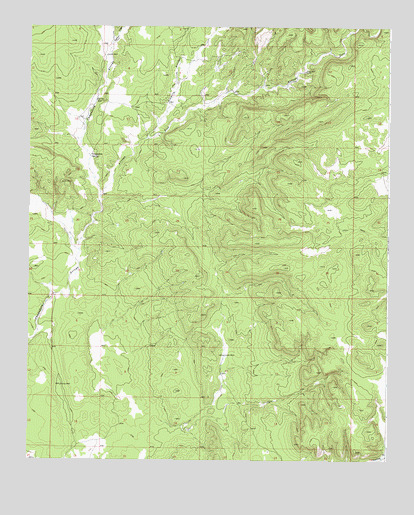 Chupadera Spring, NM USGS Topographic Map