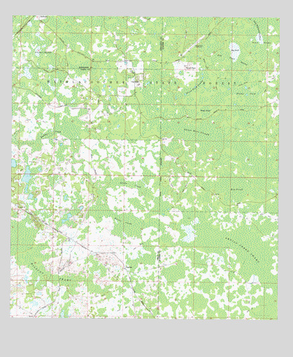 Clay Sink, FL USGS Topographic Map