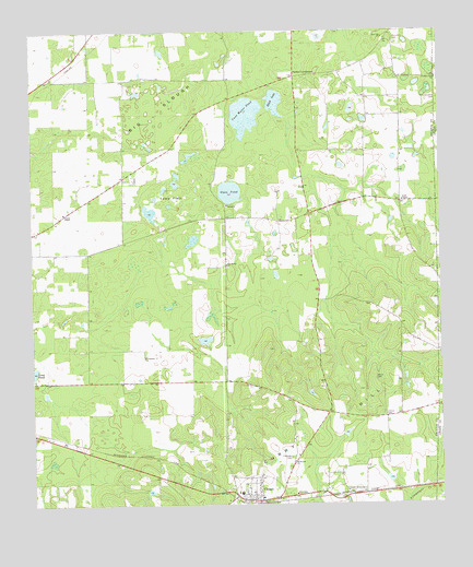 Climax North, GA USGS Topographic Map