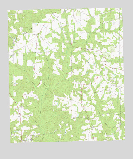 Climax South, GA USGS Topographic Map
