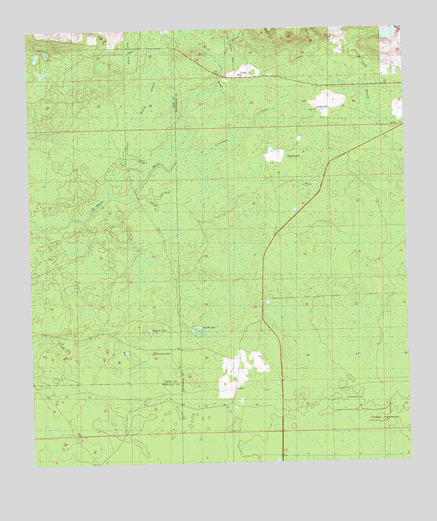 Cody, FL USGS Topographic Map