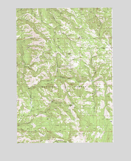Cold Spring Summit, ID USGS Topographic Map