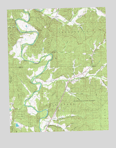 Coldwater, MO USGS Topographic Map