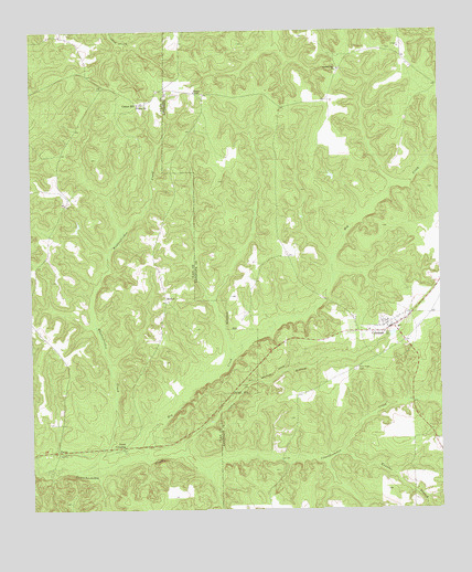 Coleman, GA USGS Topographic Map